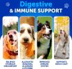 Dog Probiotics Gut Health Itchy Skin Allergies & Immunity Support Yeast Balance Dog Probiotic Chews with Prebiotics Dog Probiotics and Digestive Enzym