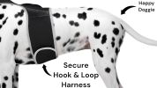 Mini Pet Tracking Collar Wireless Surveillance Security for Cats Dogs Size:XS