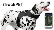 Get Realtime SMS/Live Tracking Data w/ Pet Tracker GPS Dog Collar Tracker Size:XS