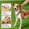 Adjustable Pet Vest Dog Harness for Large Dogs for Use Outdoor